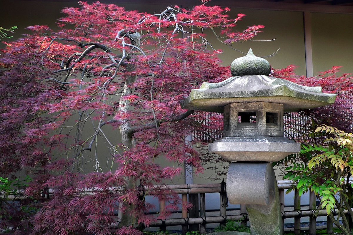 How To Create A Zen Garden In The British Climate