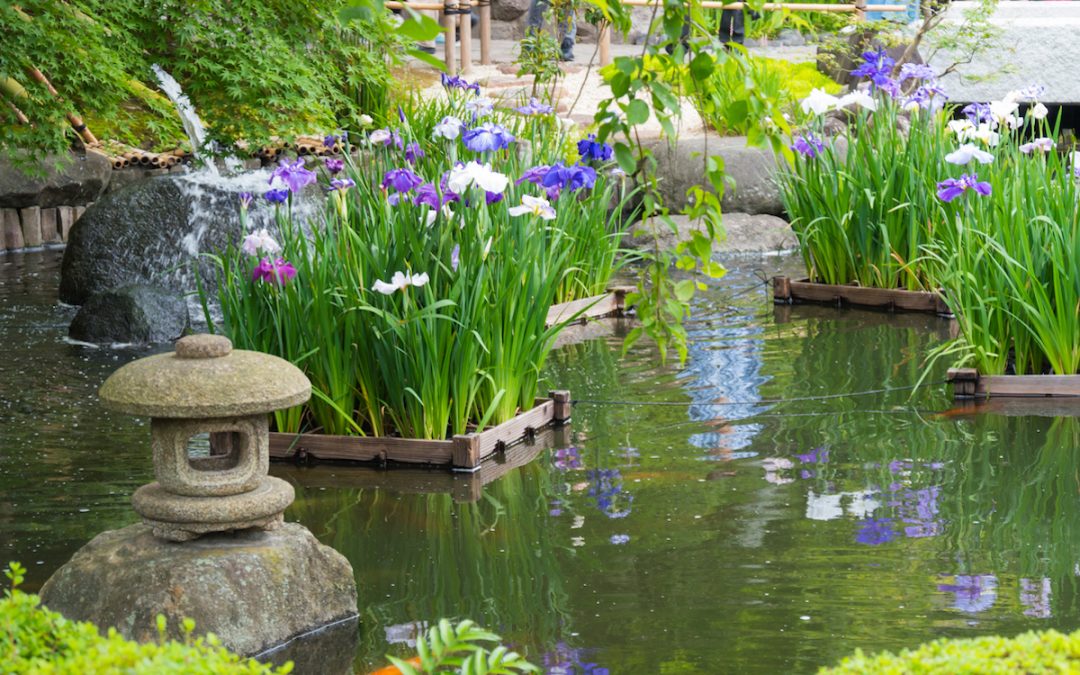 How To Create A Zen Garden In The British Climate