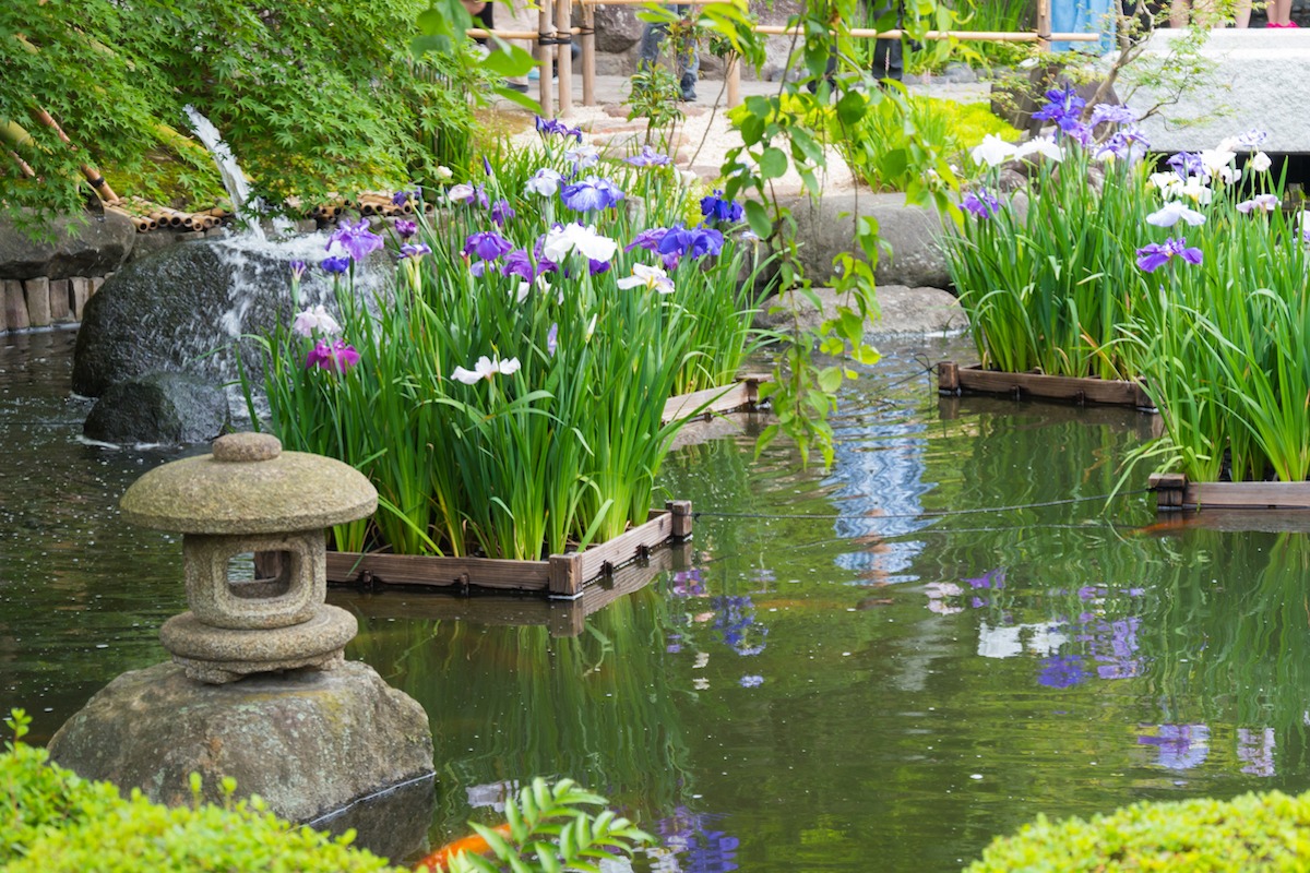 https://cambridgeconservatorycentre.co.uk/wp-content/uploads/2019/08/How-To-Create-A-Zen-Garden-In-The-British-Climate.jpeg