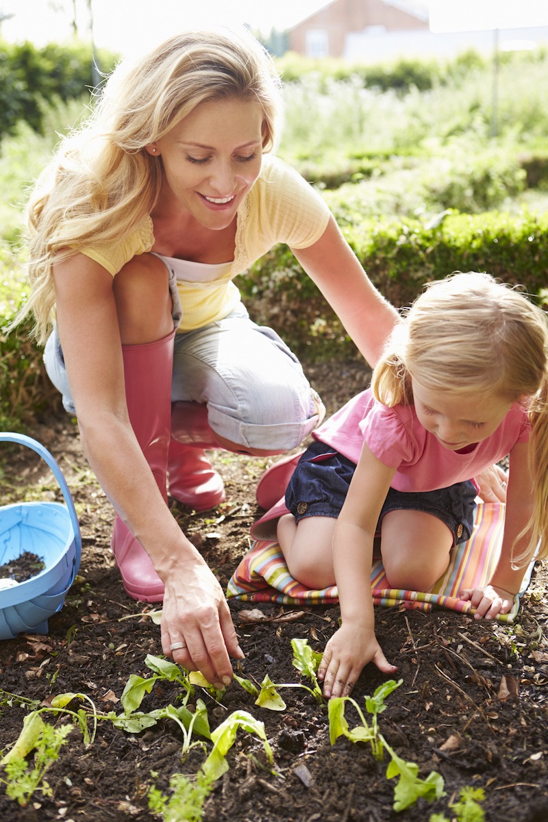 Summer Gardening